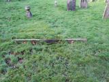image of grave number 282195
